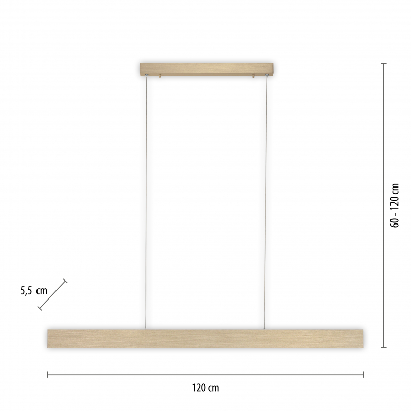 Lampa wisząca PURE-MOTIO 2470-60