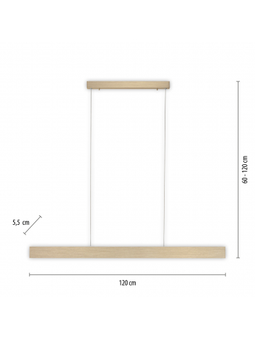 Lampa wisząca PURE-MOTIO 2470-60