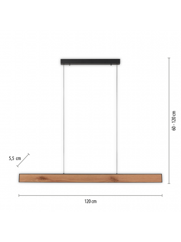 Lampa wisząca PURE-MOTIO 2470-79