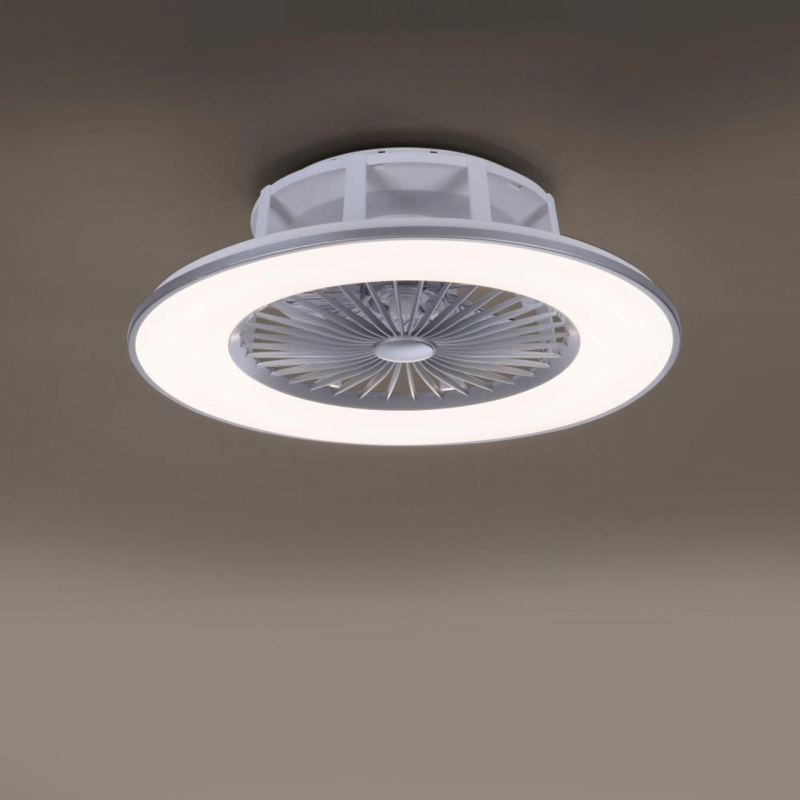 Lampa sufitowa MICHAEL 14646-55