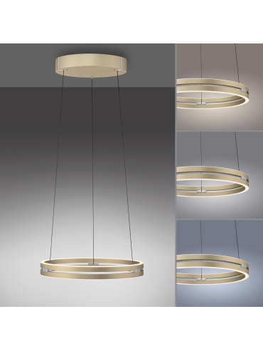 Lampa wisząca PURE E-LOOP 2550-60