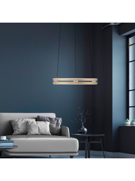 Lampa wisząca PURE E-LOOP 2550-60