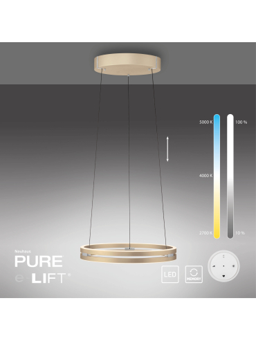 Lampa wisząca PURE E-LOOP 2550-60